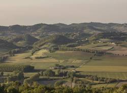 Monferrato - crea