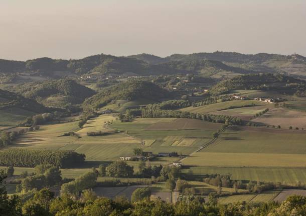 Monferrato - crea