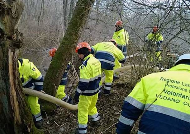 Protezione civile Vedano Olona