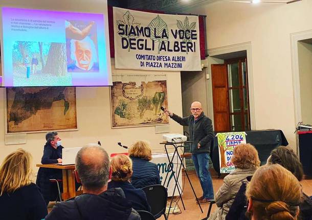 Tradate - Presentazione della perizia tecnica di Zanzi sugli alberi di piazza Mazzini