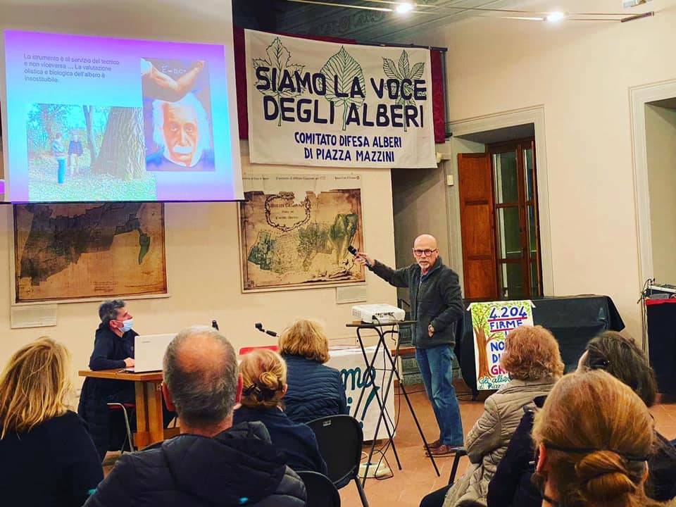 Tradate - Presentazione della perizia tecnica di Zanzi sugli alberi di piazza Mazzini
