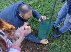 Ad Uboldo gli studenti delle scuole protagonisti della festa dell'albero