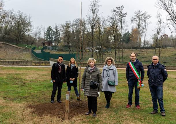 Al parco degli Aironi di Gerenzano un nuovo albero in onore dei bimbi nati nel 2020