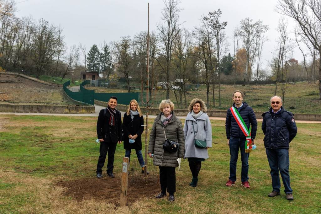 Al parco degli Aironi di Gerenzano un nuovo albero in onore dei bimbi nati nel 2020