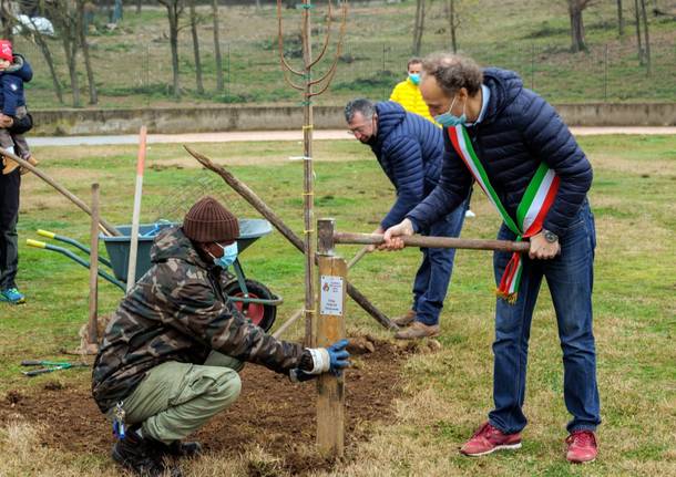 Al parco degli Aironi di Gerenzano un nuovo albero in onore dei bimbi nati nel 2020