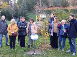 Amnesty calicanto villa mylius