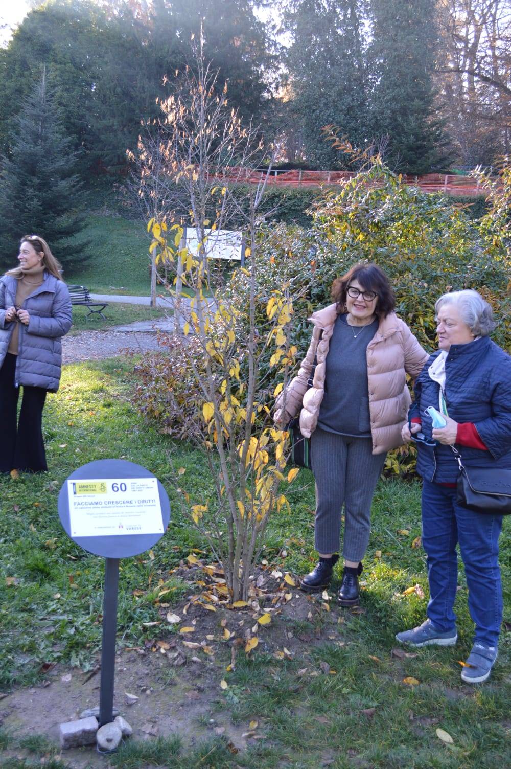 Amnesty calicanto villa mylius