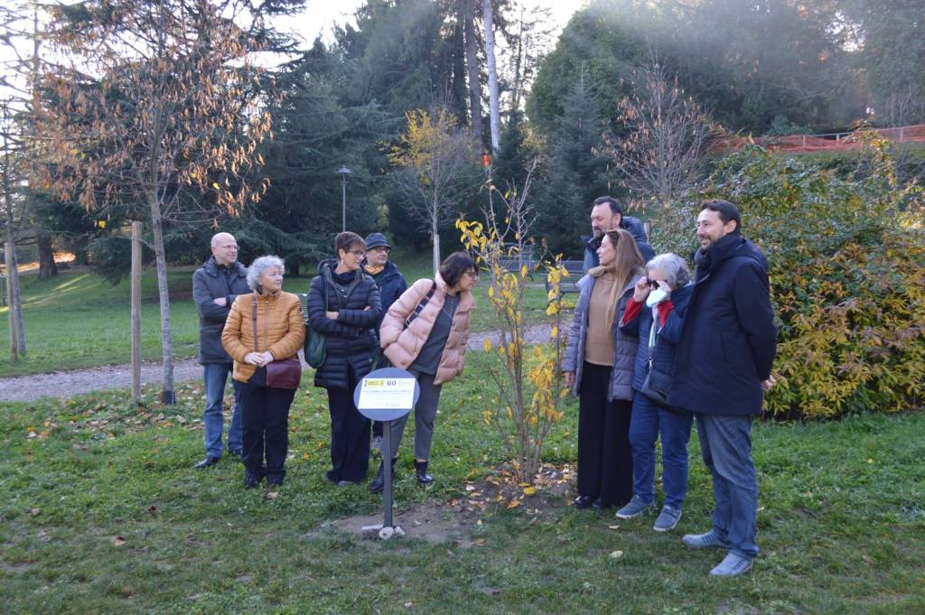 Amnesty calicanto villa mylius