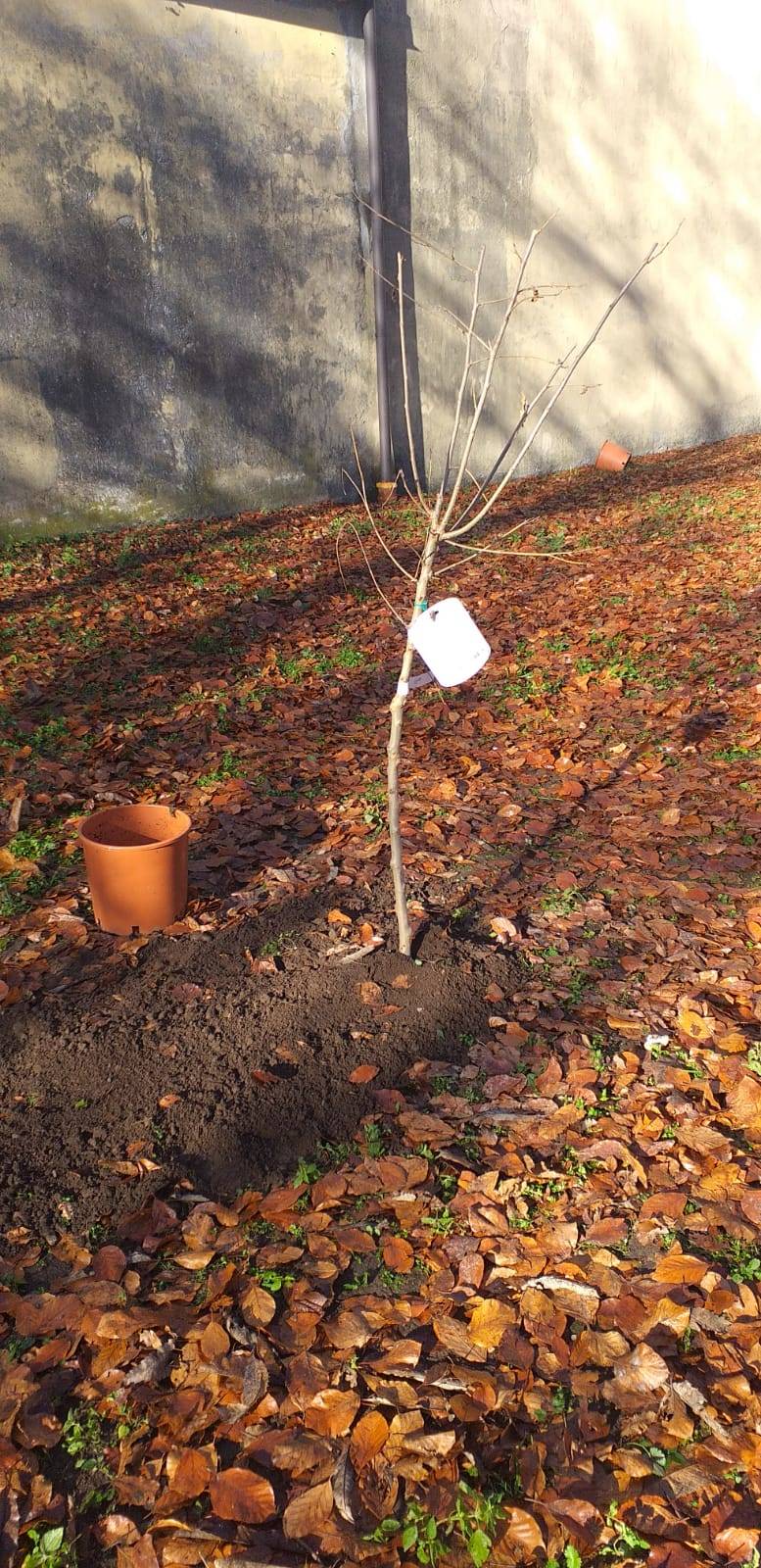 Il nuovo parco inclusivo di Cuvio