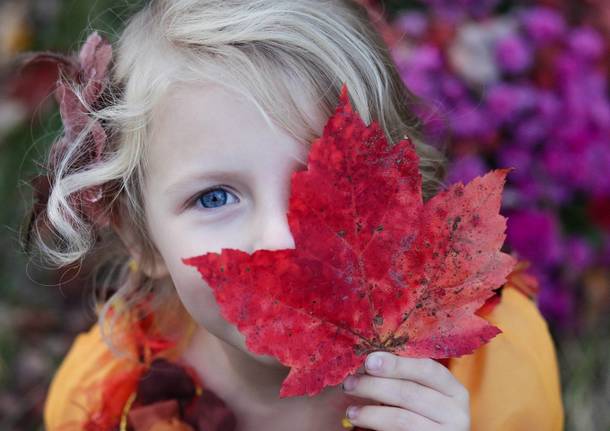 eventi bambini