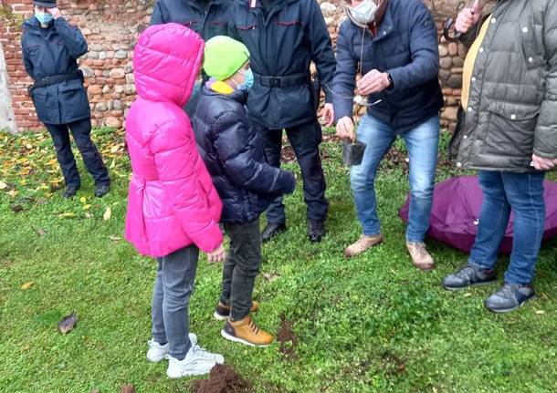 “Festa dell’albero” a Villa Cortese: piantumato un acero campestre nel parco di via Vecellio