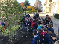 Festa dell'albero a Villa Cagnola