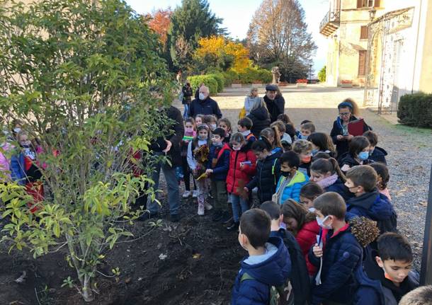 Festa dell'albero a Villa Cagnola