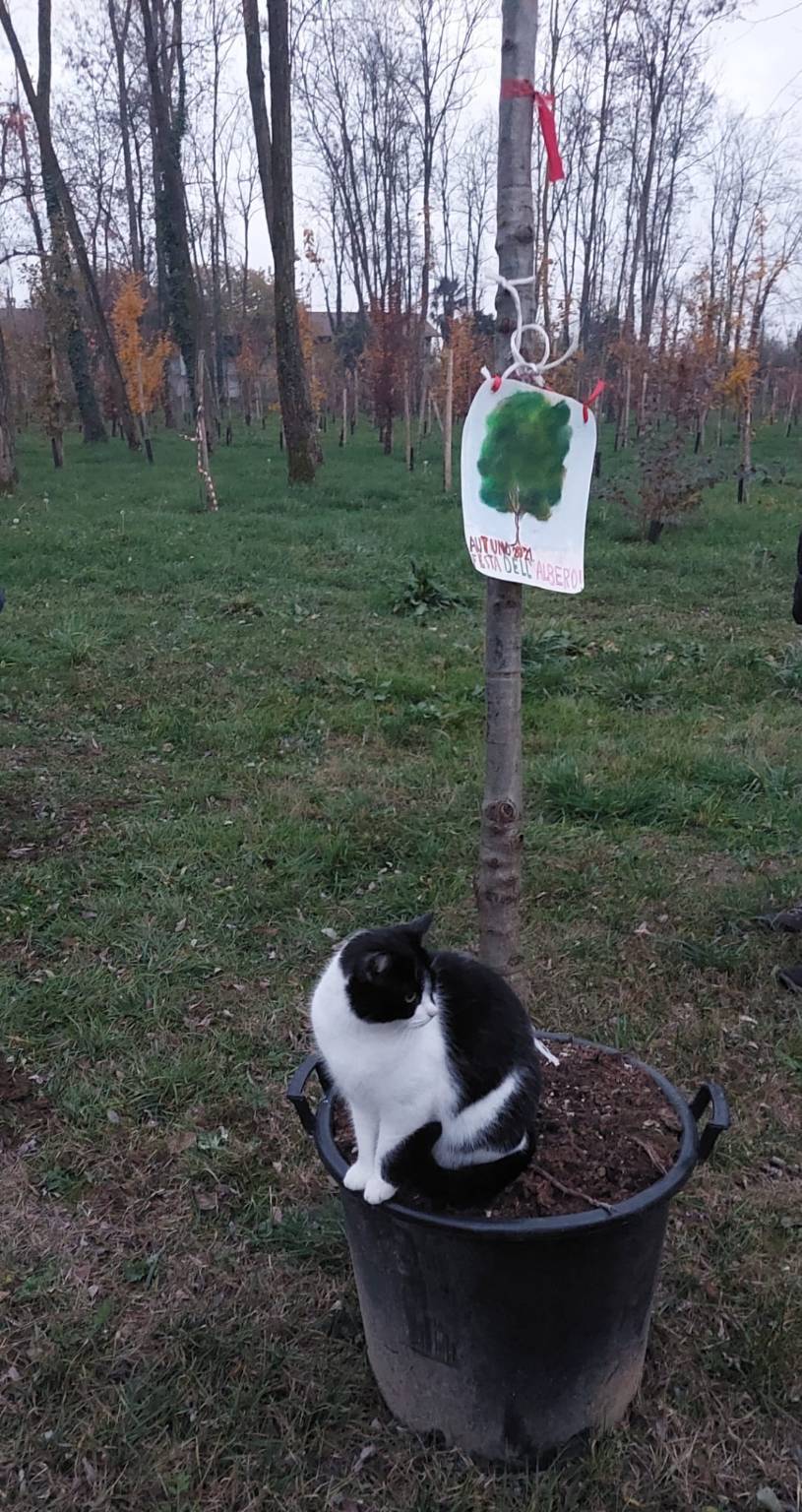 ForestaMi al Parco Alto Milanese 