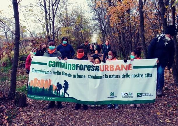 ForestaMi al Parco Alto Milanese 