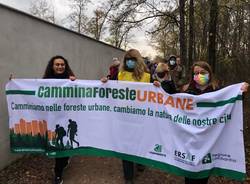 ForestaMi al Parco Alto Milanese 