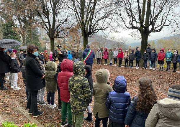 Foto della piantumazione dei due Carpinus Betulus