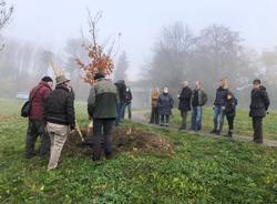 Generica 2020