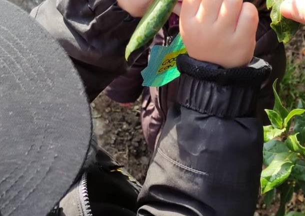 gentilezza scuola dell'infanzia lissago