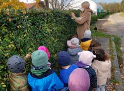 gentilezza scuola dell'infanzia lissago