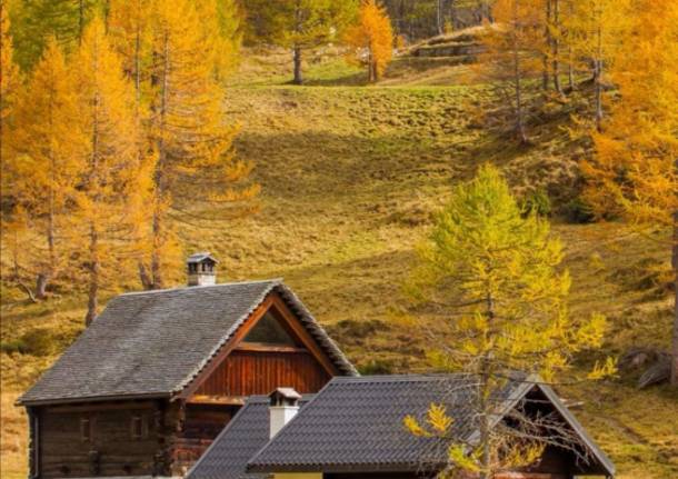 I colori dell'autunno all'Alpe Devero