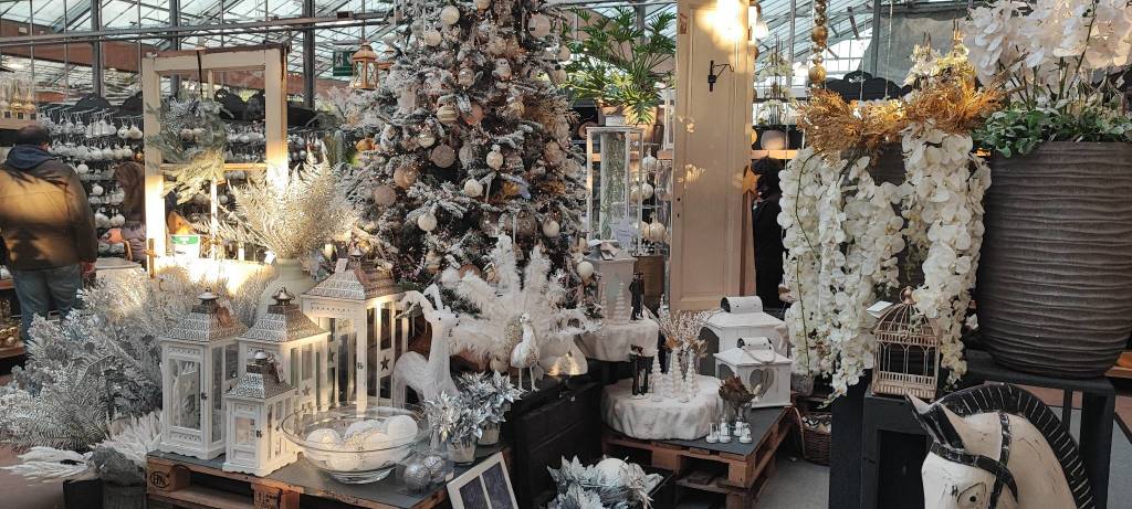 Il Natale di Agricola è spettacolare