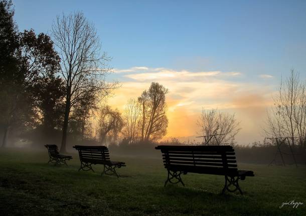 Il parco Zanzi della Schiranna 