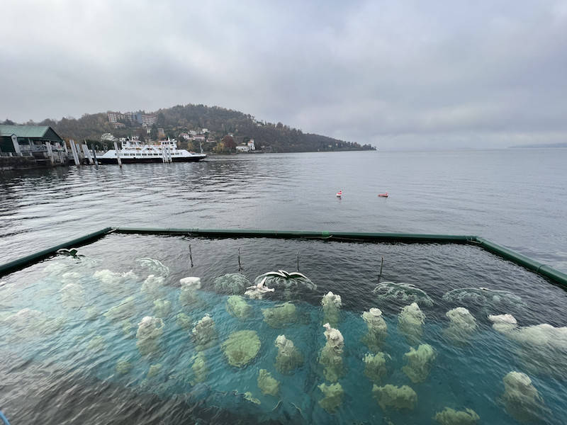 Il presepe sommerso di Laveno 2021