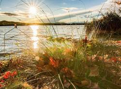 Il sole d'autunno sul Lago di Varese