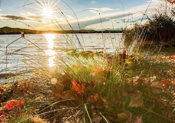 Il sole d'autunno sul Lago di Varese