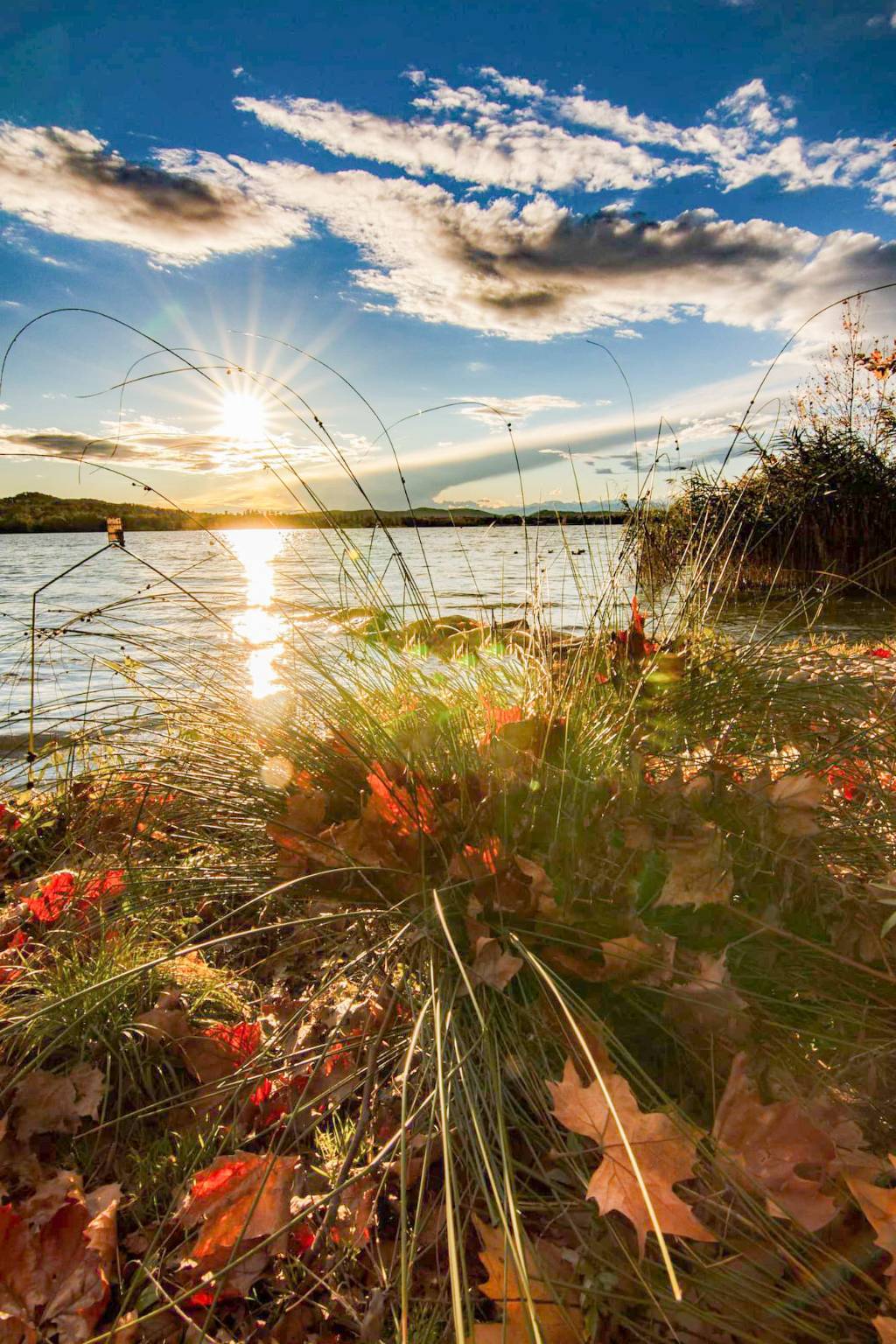Il sole d'autunno sul Lago di Varese
