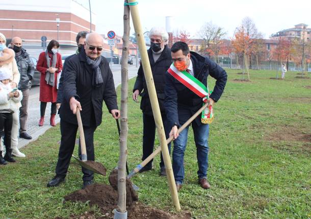 Inaugarato il bosco in città