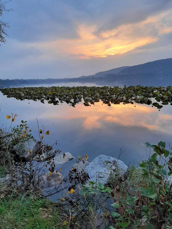 lago comabbio