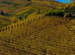 Langhe cuneensi - cuneo - vigneti - foto di Stefano Berrini