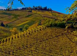 Langhe cuneensi - cuneo - vigneti - foto di Stefano Berrini