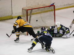 mastini varese appiano pirates 2021