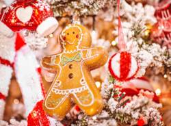 Natale Agricola 2021