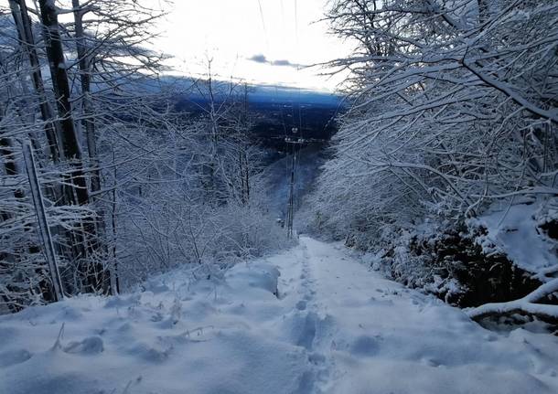 Neve nel varesotto del 28 novembre