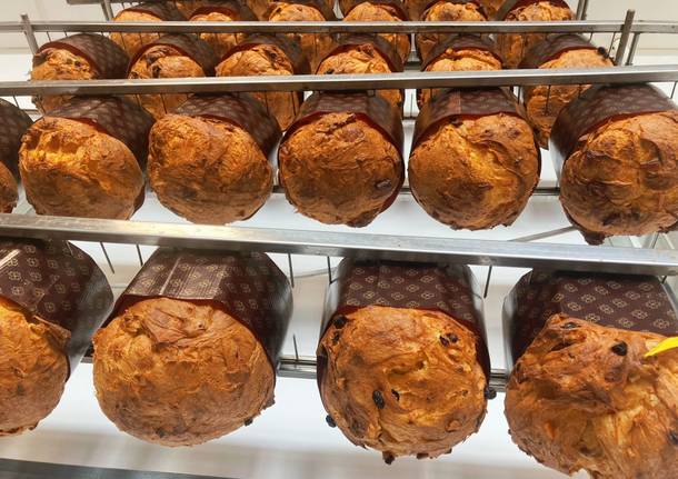 Panettone Il giusto impasto