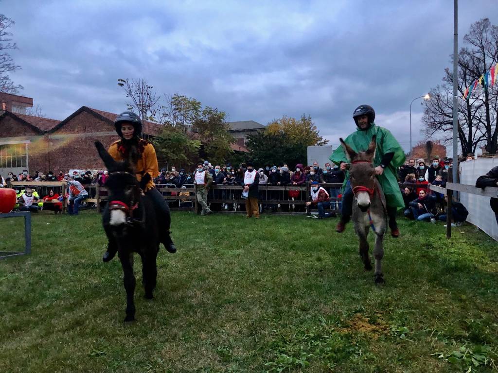 Rama di Pomm Gallarate