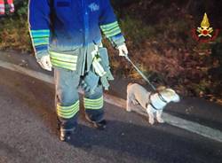 Scontro nella notte a Germignaga, tre feriti. I vigili del fuoco salvano anche un cagnolino