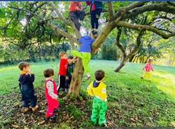 Scuola dell'infanzia Il Bosco verde