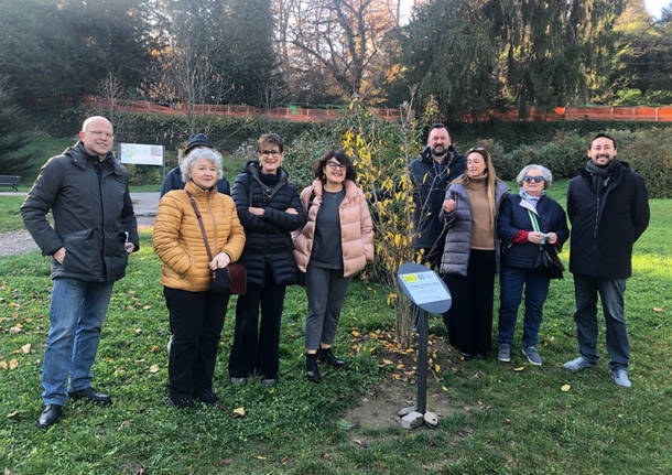 Varese generiche