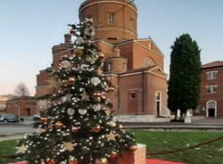 albero a Legnano