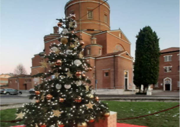 albero a Legnano