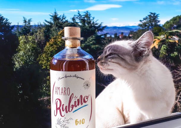 Amaro Rubino Bio