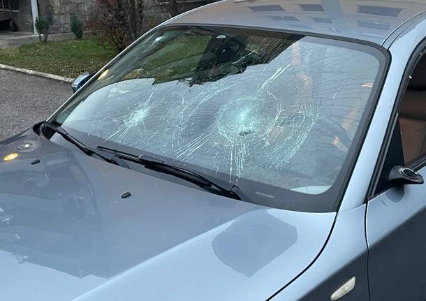 auto danneggiata aggressione bar papaya busto arsizio