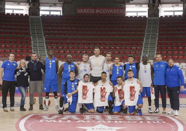 basket fisdir masnago vharese