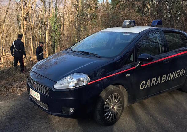 carabinieri luino valcuvia spaccio nei boschi