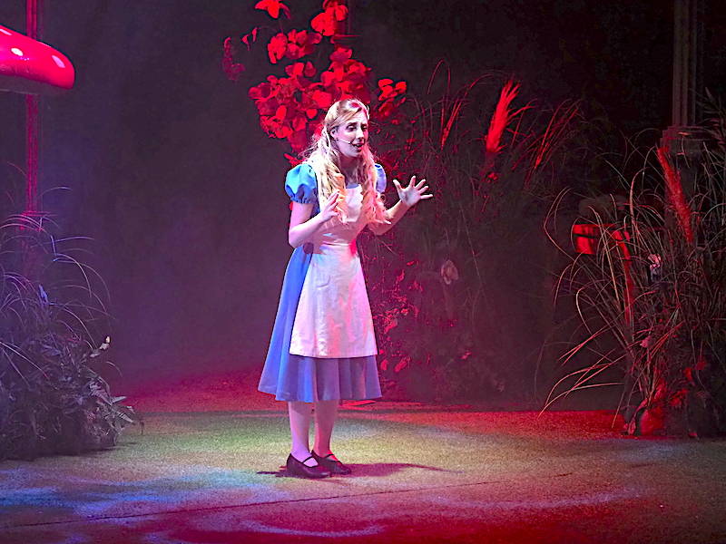 Alice nel paese delle meraviglie al teatro di Varese